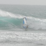 Willy Wild Diamond.Nov 2nd 2010 Willy Wild Diamond.Nov 2nd 2010