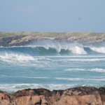 DSC_0319 DSC_0319