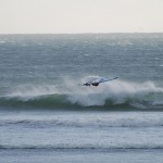 DSC_0074